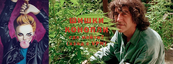 дживик Гусь-Хрустальный