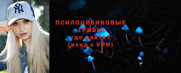 дживик Гусь-Хрустальный