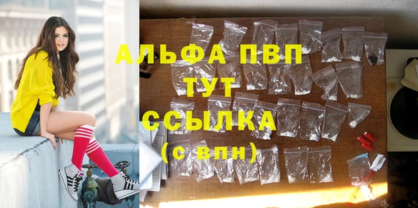 дживик Гусь-Хрустальный