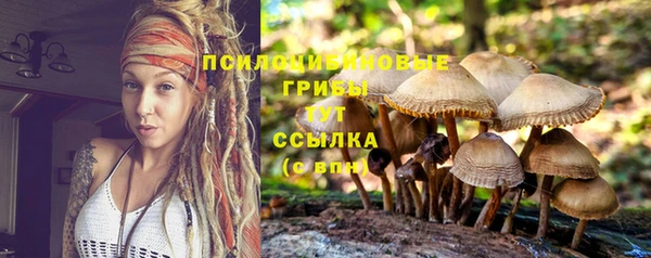 бутик Гусев