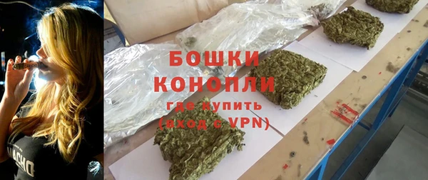 соль ск Гусиноозёрск