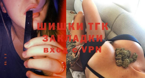 дживик Гусь-Хрустальный