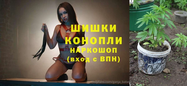 дживик Гусь-Хрустальный