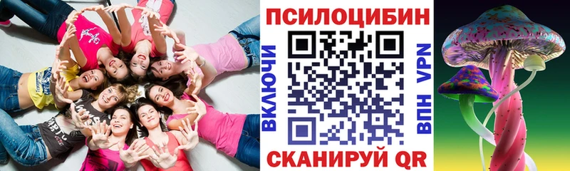 сайты даркнета как зайти  Новоузенск  Галлюциногенные грибы Psilocybine cubensis  цена наркотик 